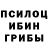 Галлюциногенные грибы Cubensis Diyor Yunusov