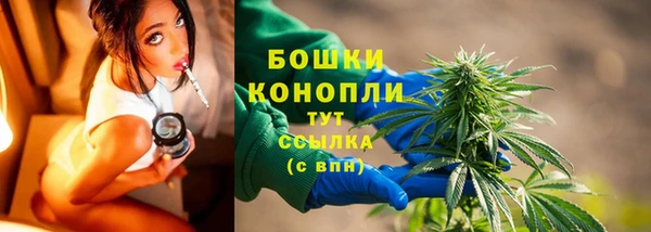 мдпв Магас