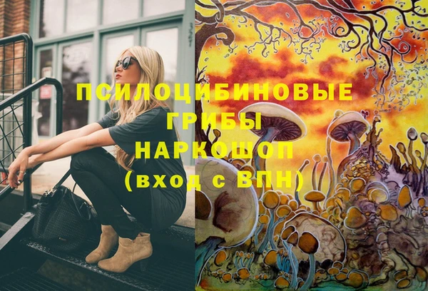 стаф Мегион