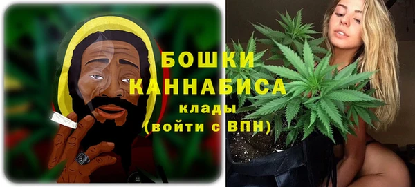 мдпв Магас