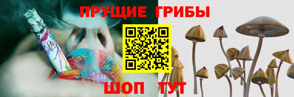 Галлюциногенные грибы GOLDEN TEACHER  Галлюциногенные грибы Cubensis  Архангельск 